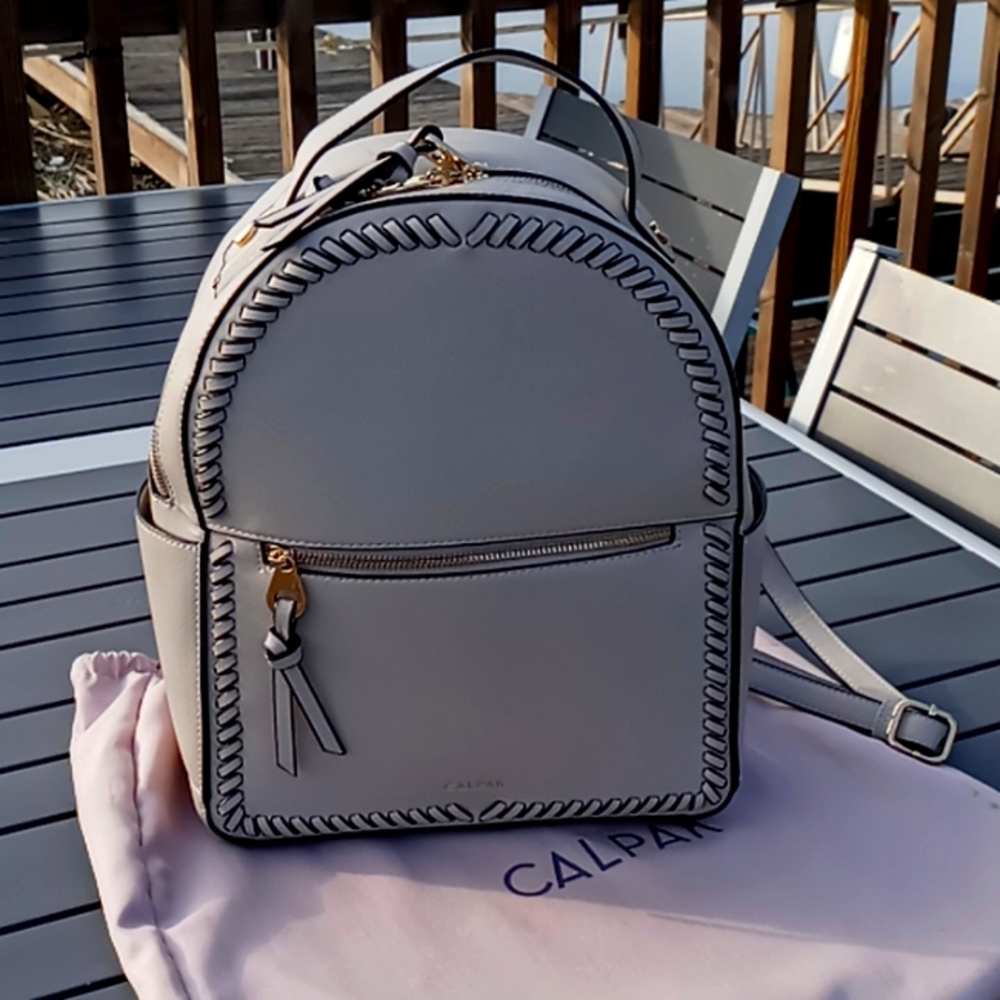 COPY - Calpak Backpack